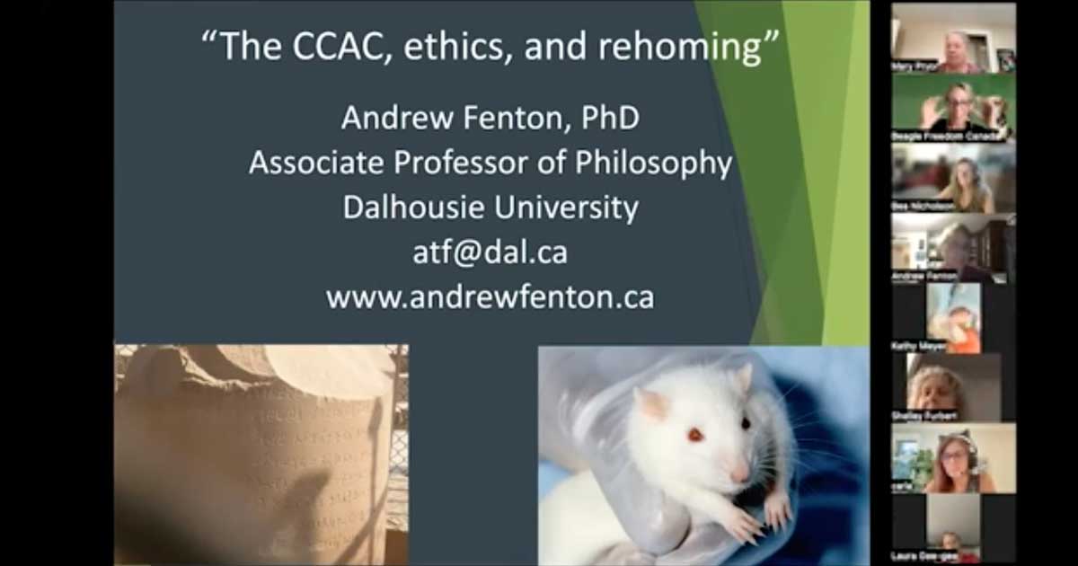 Andrew Fenton, Animal Ethics Expert