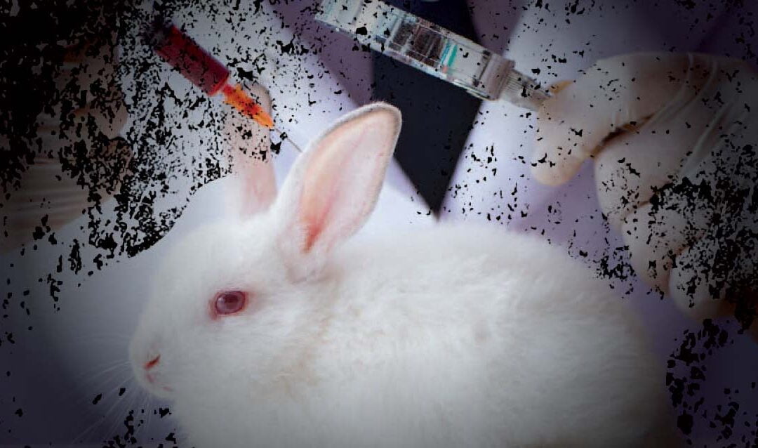 Cosmetic Testing on Animals BANNED in Canada