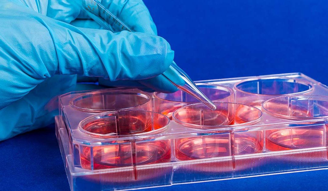 National Institutes of Health – Reducing Animal Use in Research