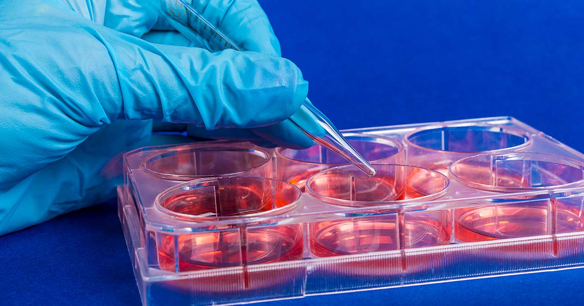 National Institutes of Health – Reducing Animal Use in Research