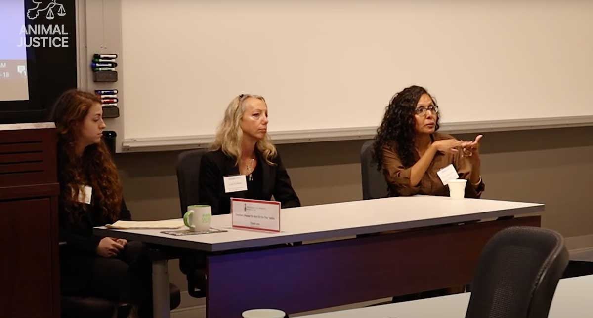 Lori Cohen, Executive Director, The Beagle Alliance - Animal Law Conference 2022