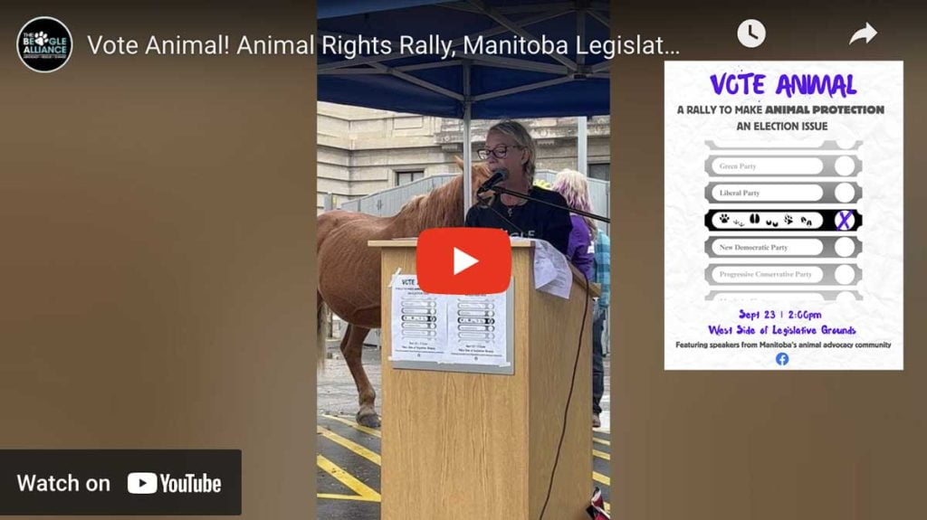 Vote Animal! Rally at Manitoba Legislature