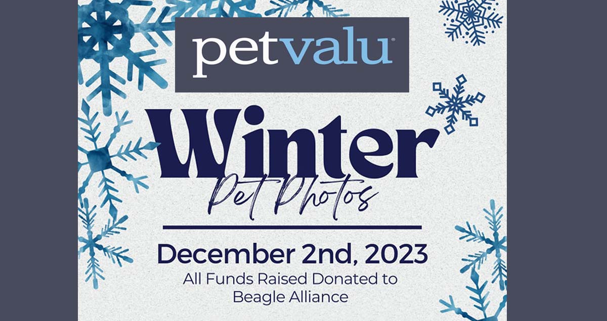 Pet Valu Renders Winter Pet Photos in support of the Beagle Alliance