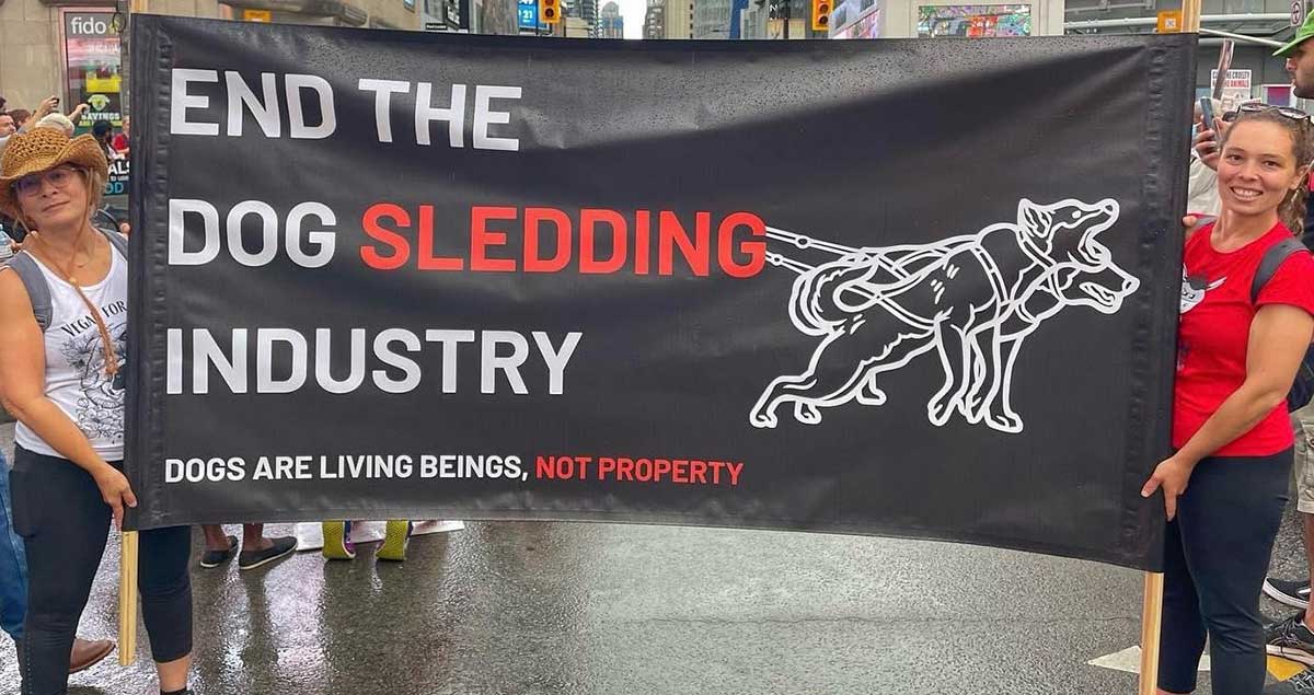 End the Dog Sledding Industry