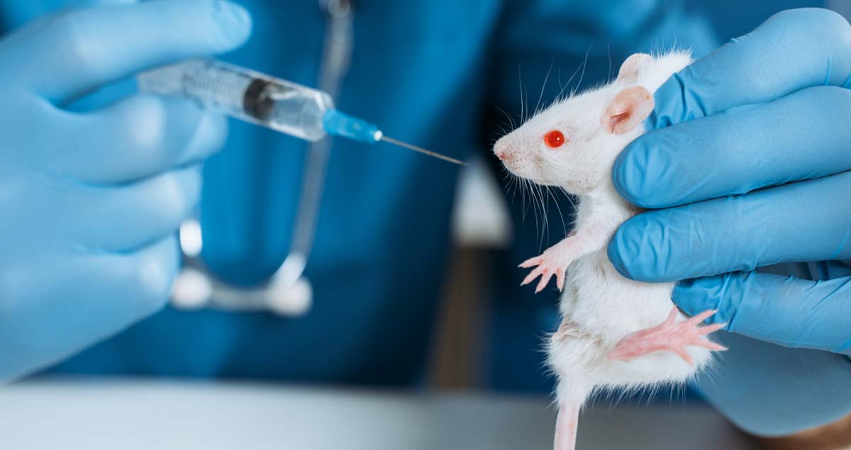 Toxicity Testing on Animals