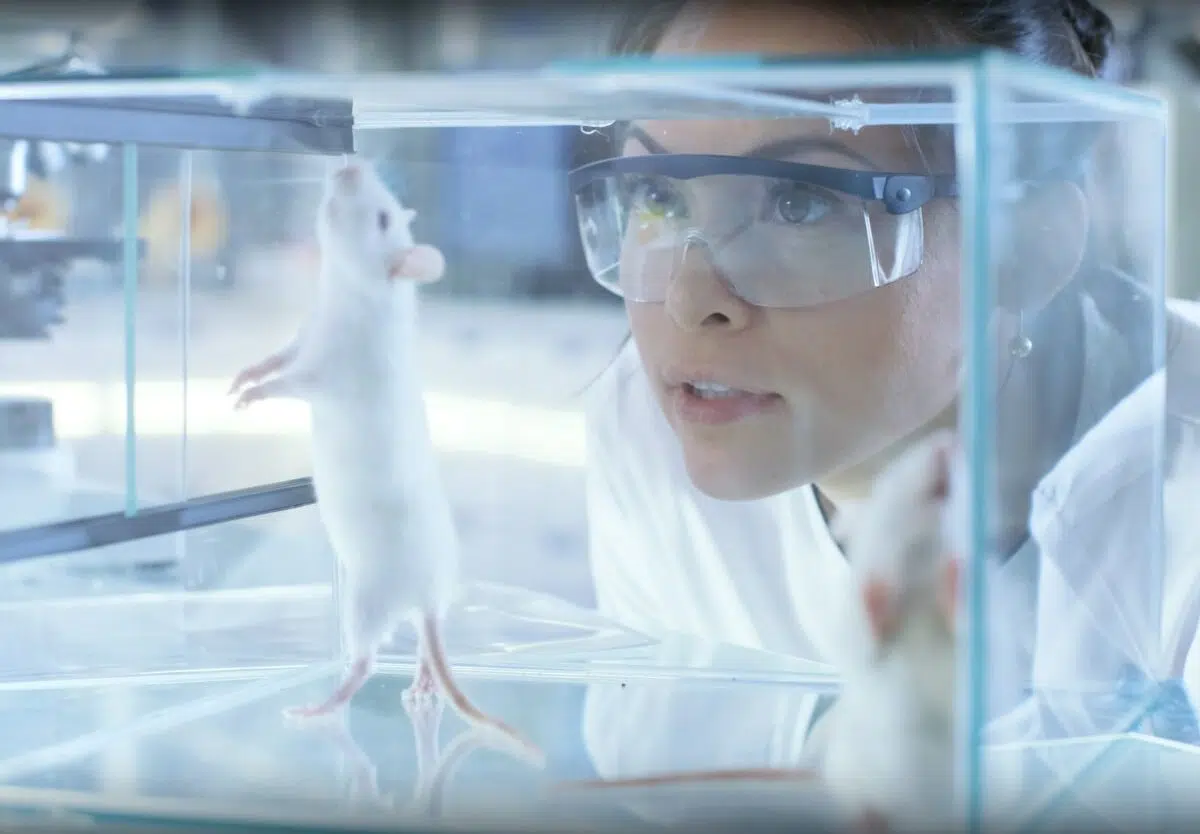 Woman studying white mouse in lab