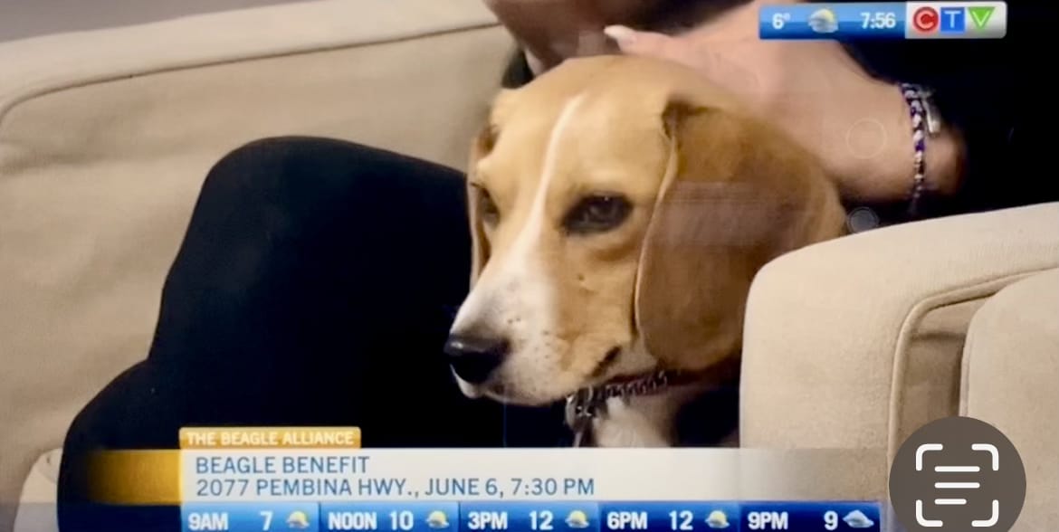 2024-05-24 CityTV News Winnipeg