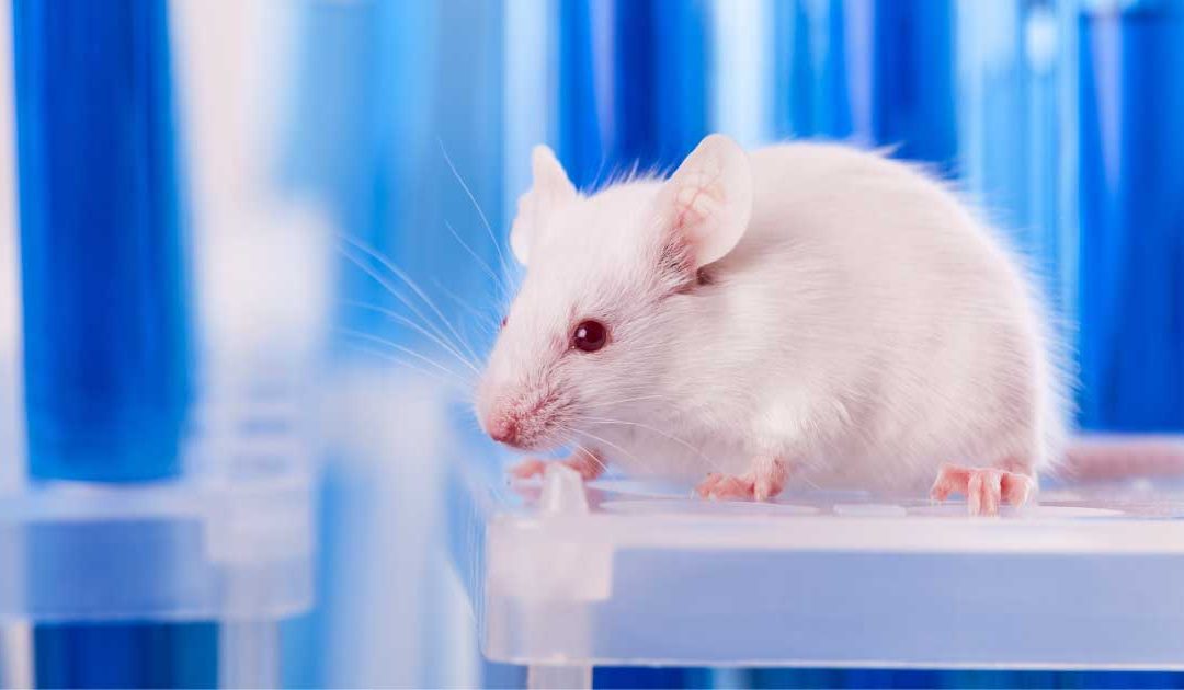 Could AI put an end to animal testing?