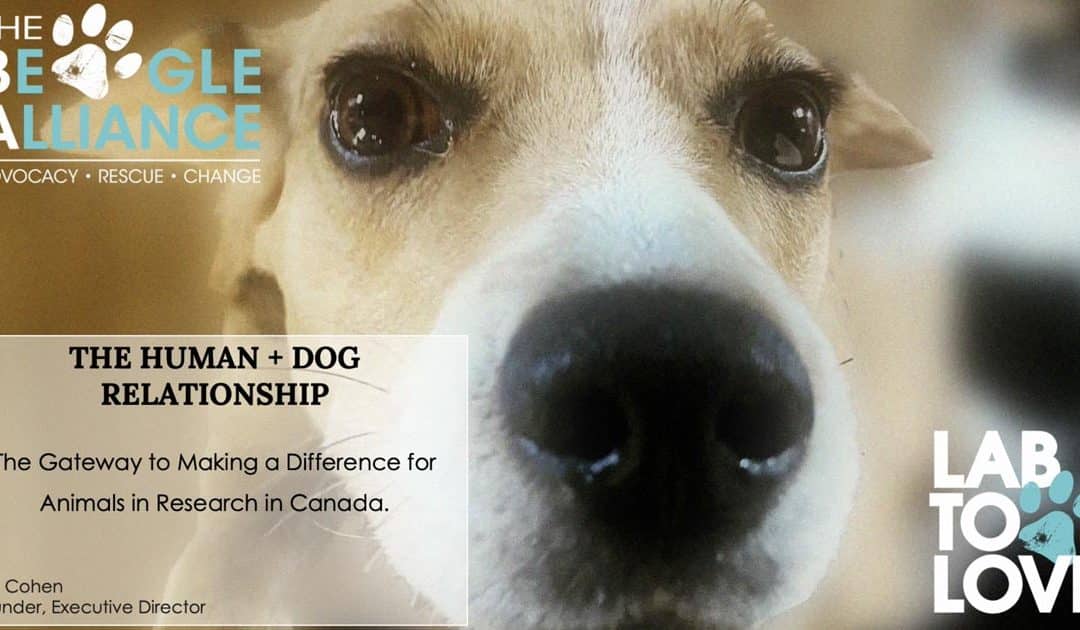 Dogs as the Gateway for Change in Canada