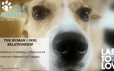 Dogs as the Gateway for Change in Canada