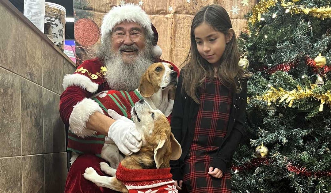 Fun with Santa at PetValu Reenders