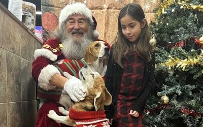 Fun with Santa at PetValu Reenders