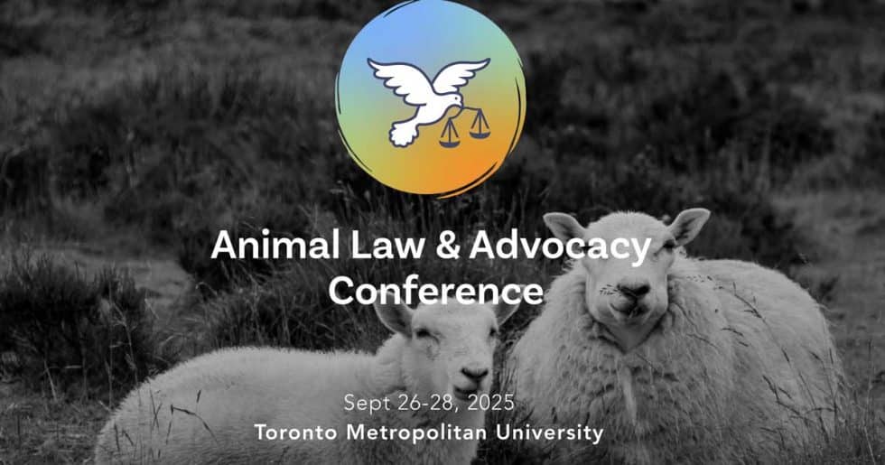 Animal Law Conference 2025 - The Beagle Alliance