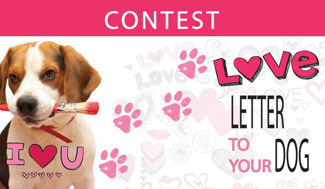 Love Letter to Your Dog Contest