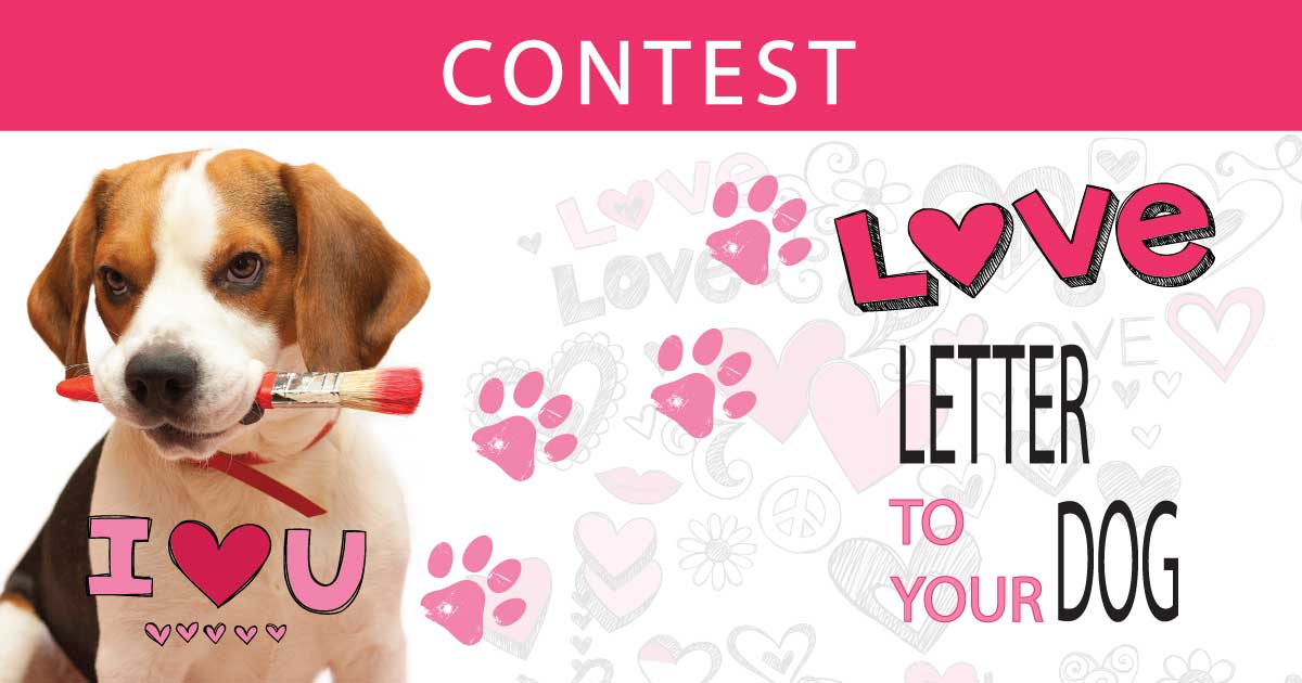 Love Letter Contest