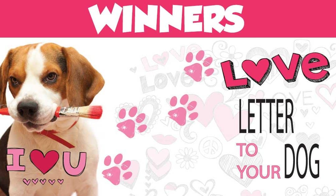 Love Letter Contest Winners
