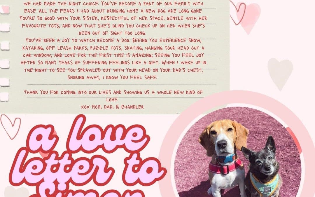 Love Letter to Simon