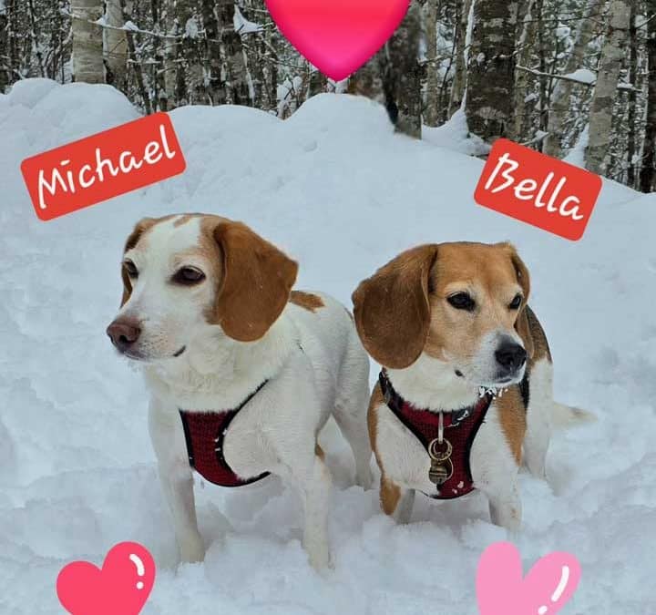 Love Letter to Michael & Bella