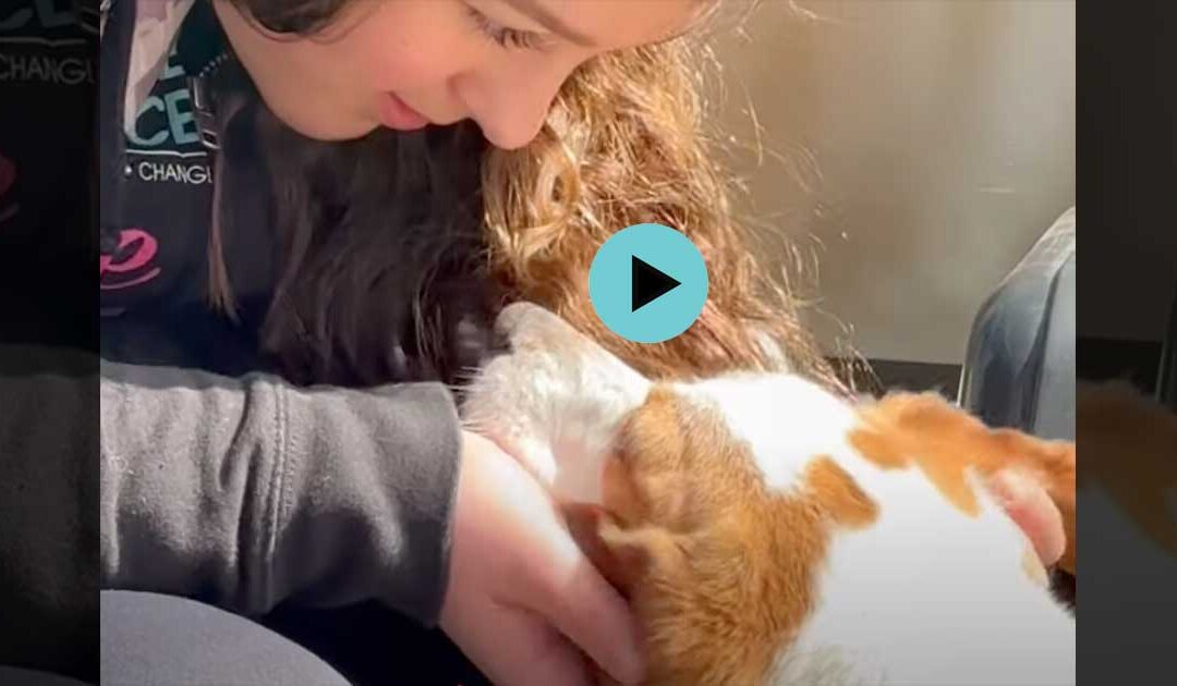 Exodus Rescue – April 2025