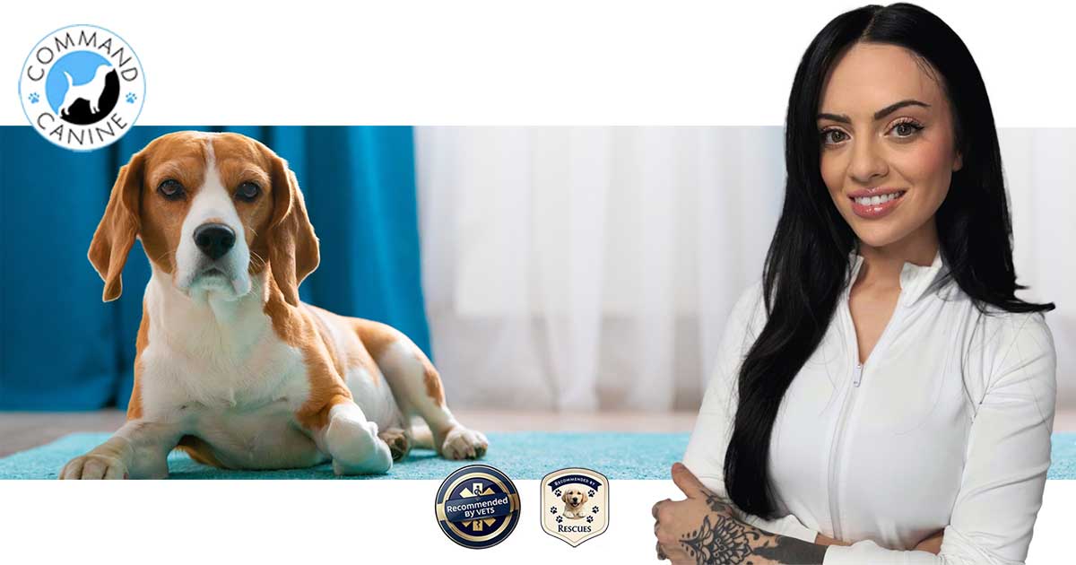 Chelsey Marino, Command Canine