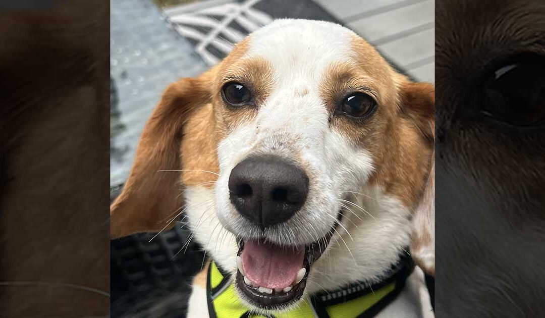 Delilah