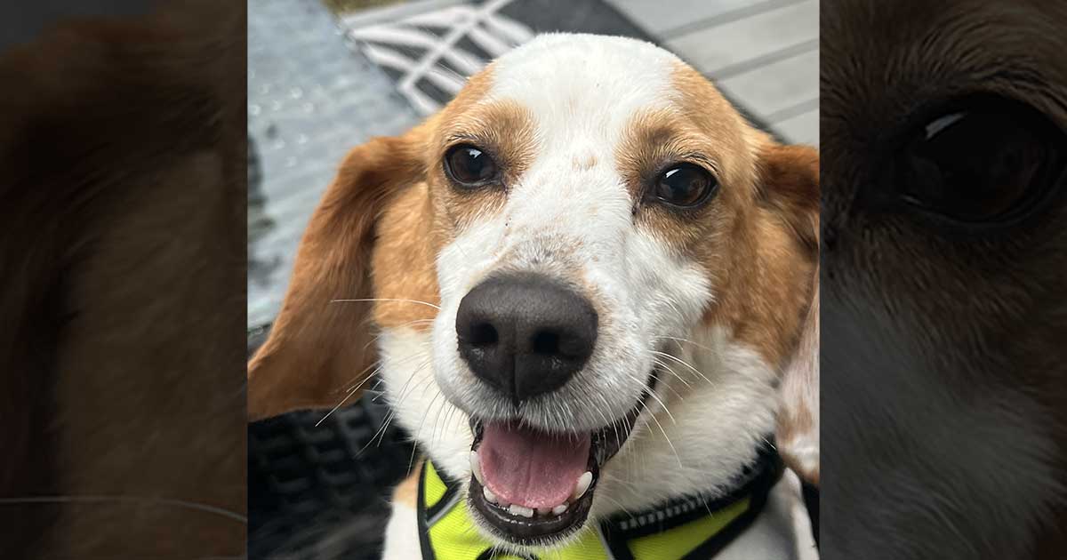 Delilah