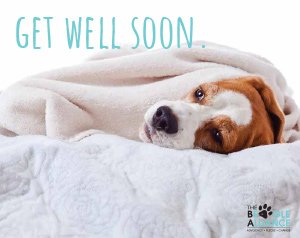 Get Well Soon E-Card