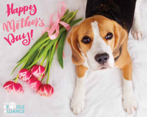 Mother's Day E-Card