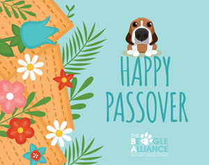 Happy Passover E-Card