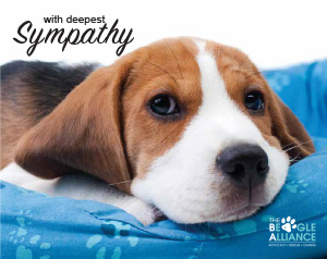 With Sympathy E-Card