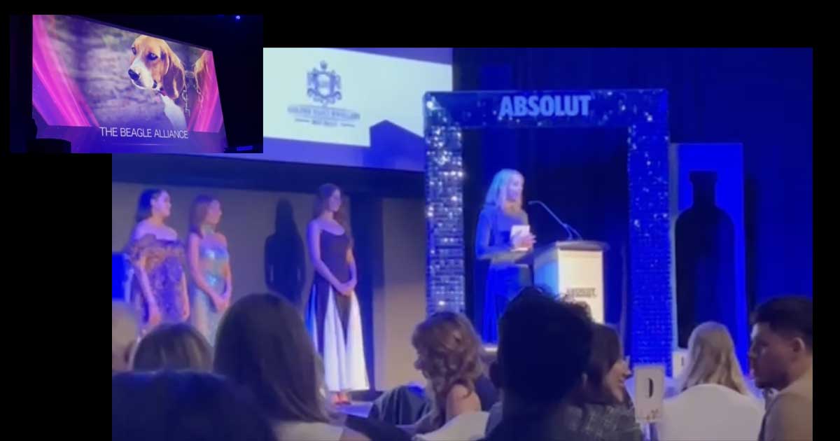 We Won! Community Impact Award – WNLA