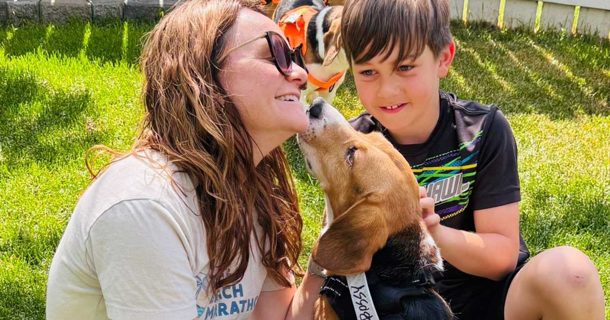 Airdrie yard becomes gateway to freedom for 14 rescued beagles