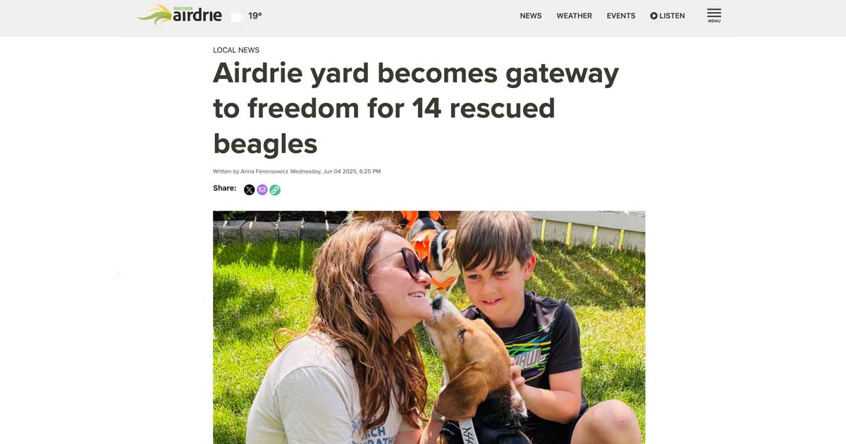 Airdrie yard becomes gateway to freedom for 15 rescued beagles