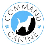 Pet Rescue Pilots Logo