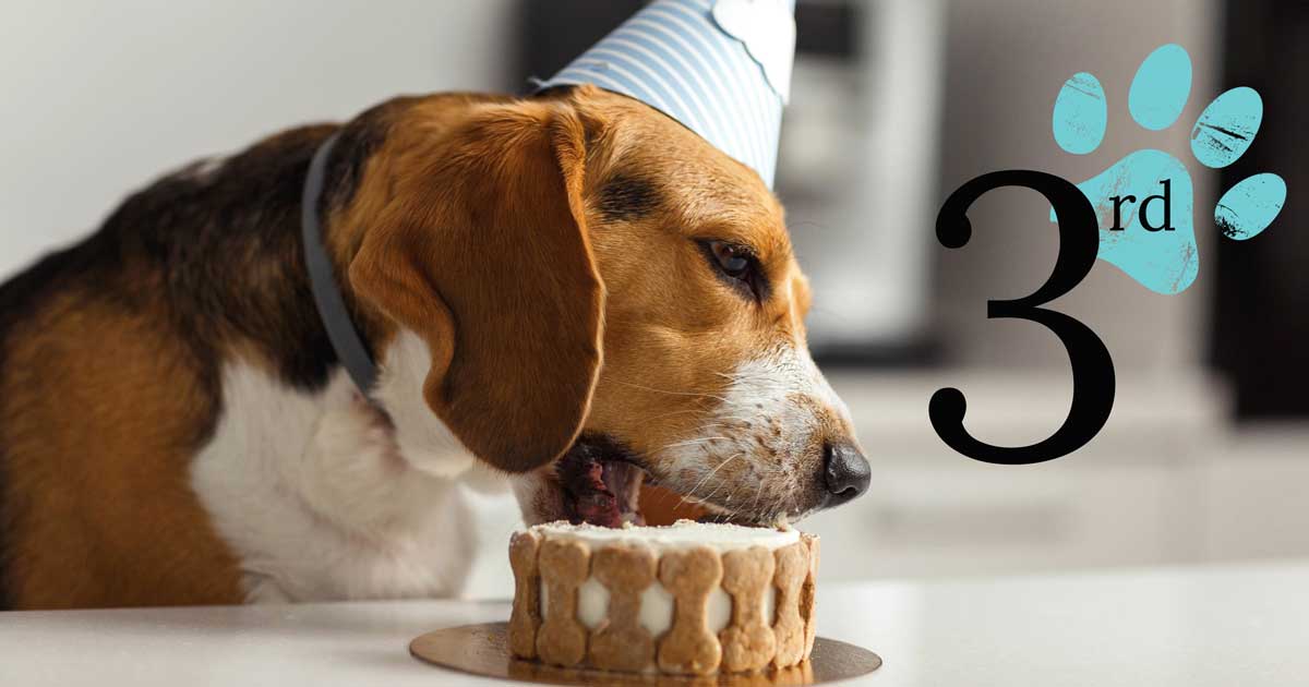 The Beagle Alliance Turns 3