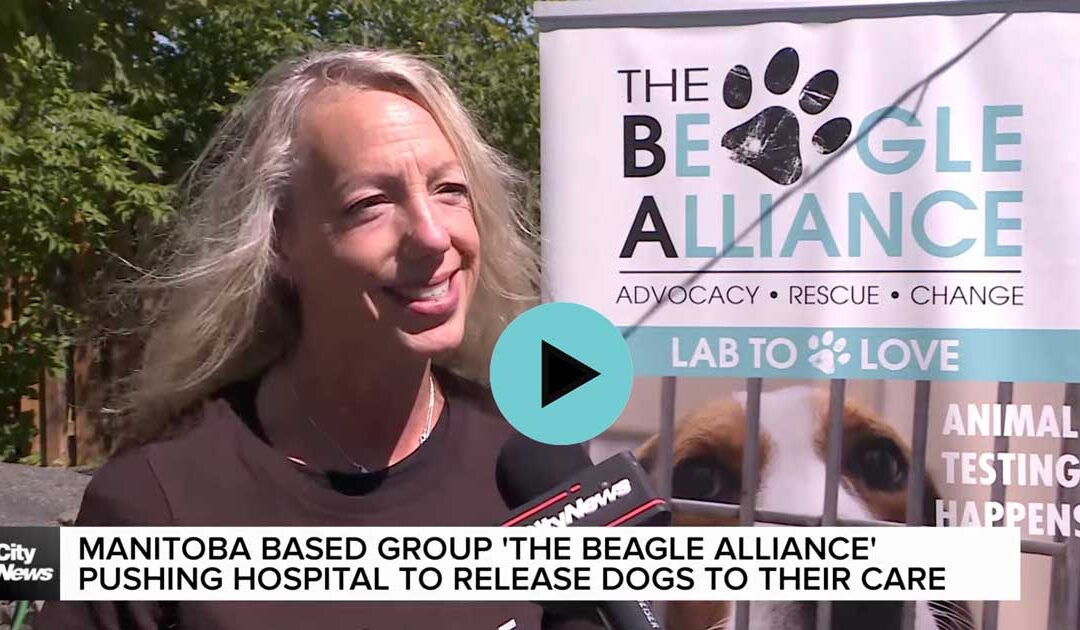 After animal testing lab in Ontario closes due to shocking discoveries, CityNews
