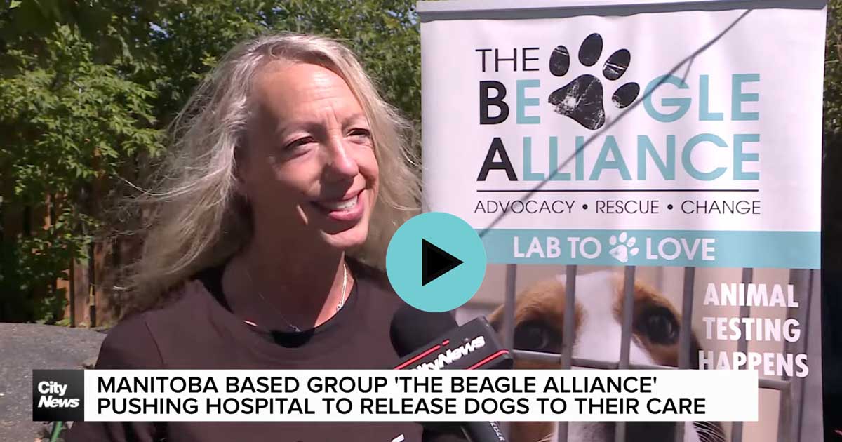 After animal testing lab in Ontario closes due to shocking discoveries, CityNews