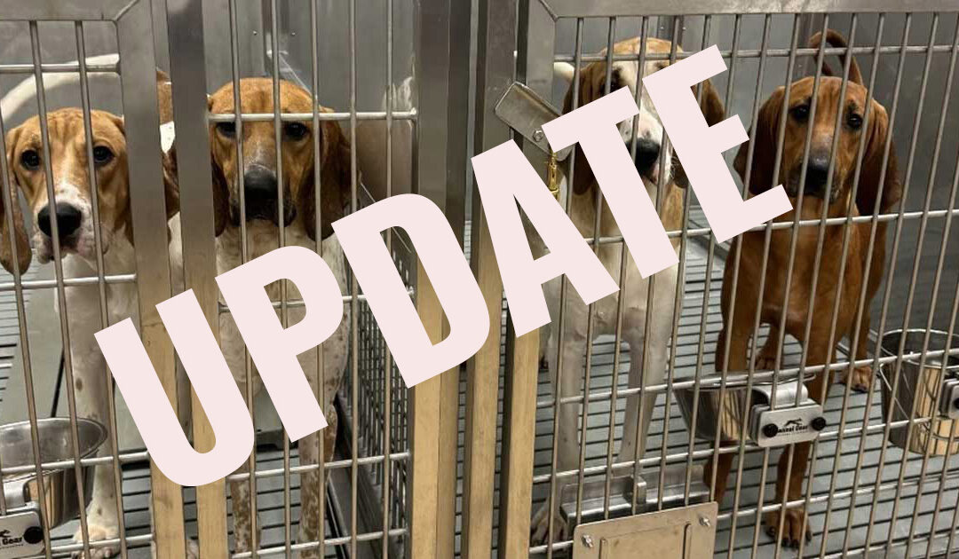 St. Joseph’s Healthcare London Ends Dog Testing