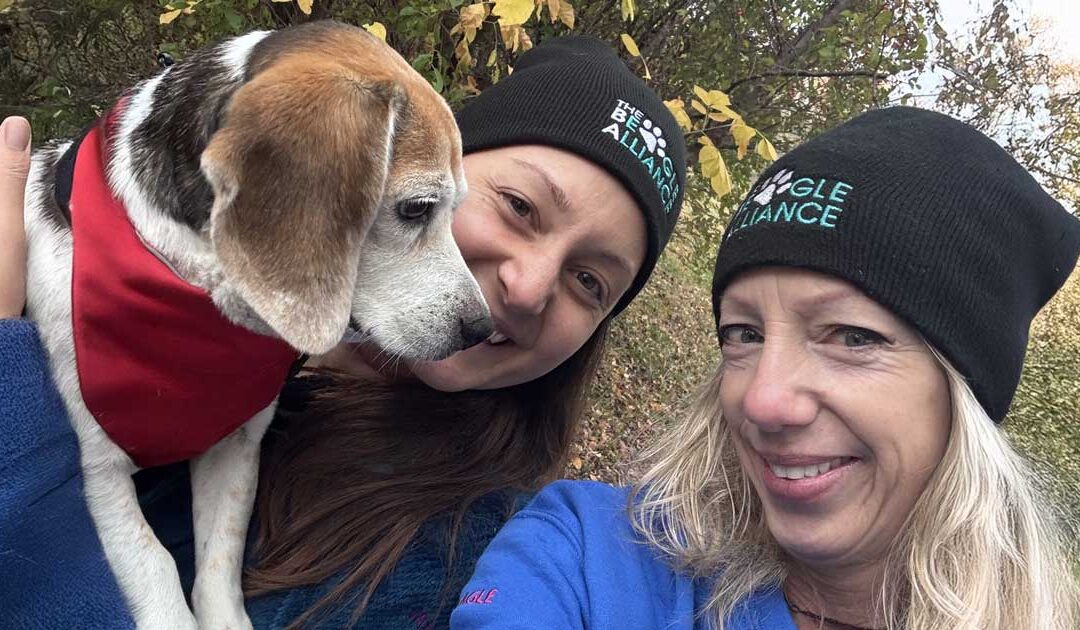 Beagle Coalition: The Fight for the Dogs at Ridglan Farms