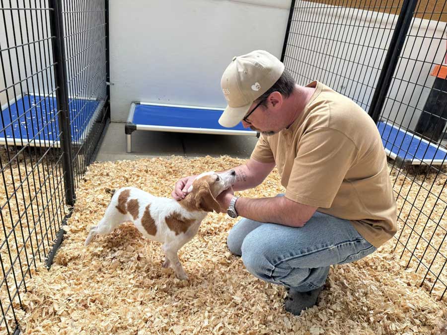John Ramer from Kindness Ranch Animal Sanctuary petting small dog in cage
