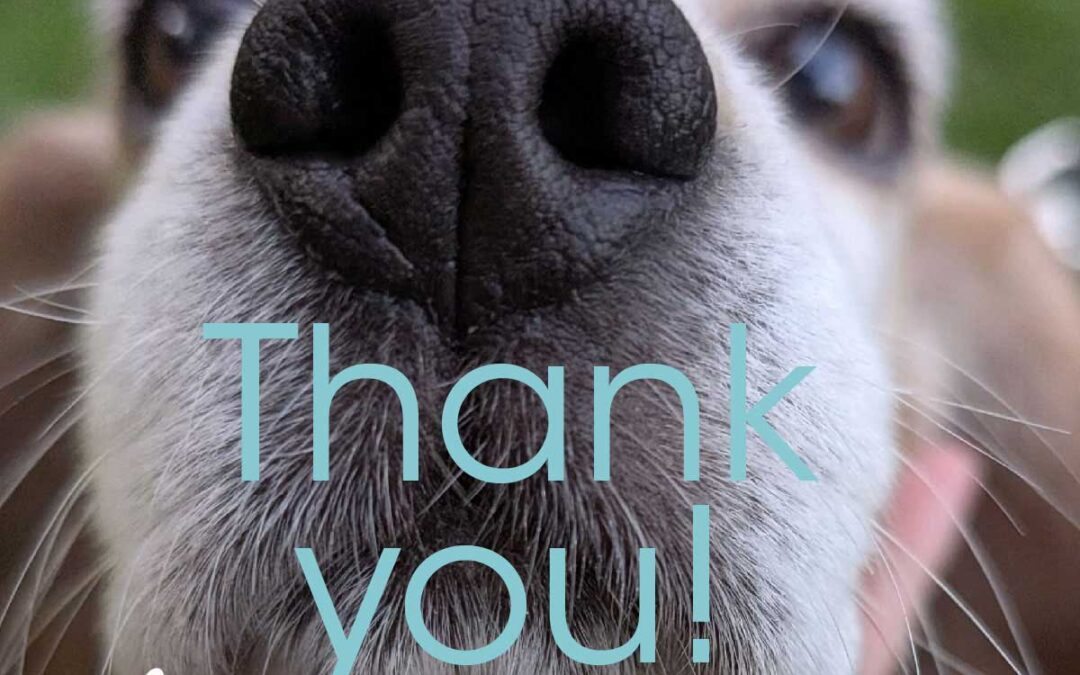 Grateful to Animal Alliance of Canada