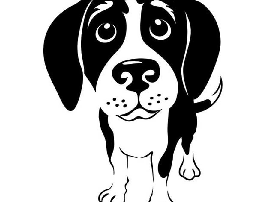 WANTED – Fosters/Adopters