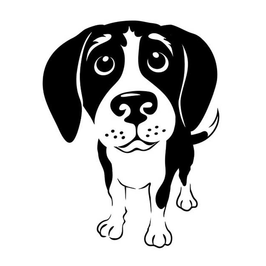 WANTED – Fosters/Adopters