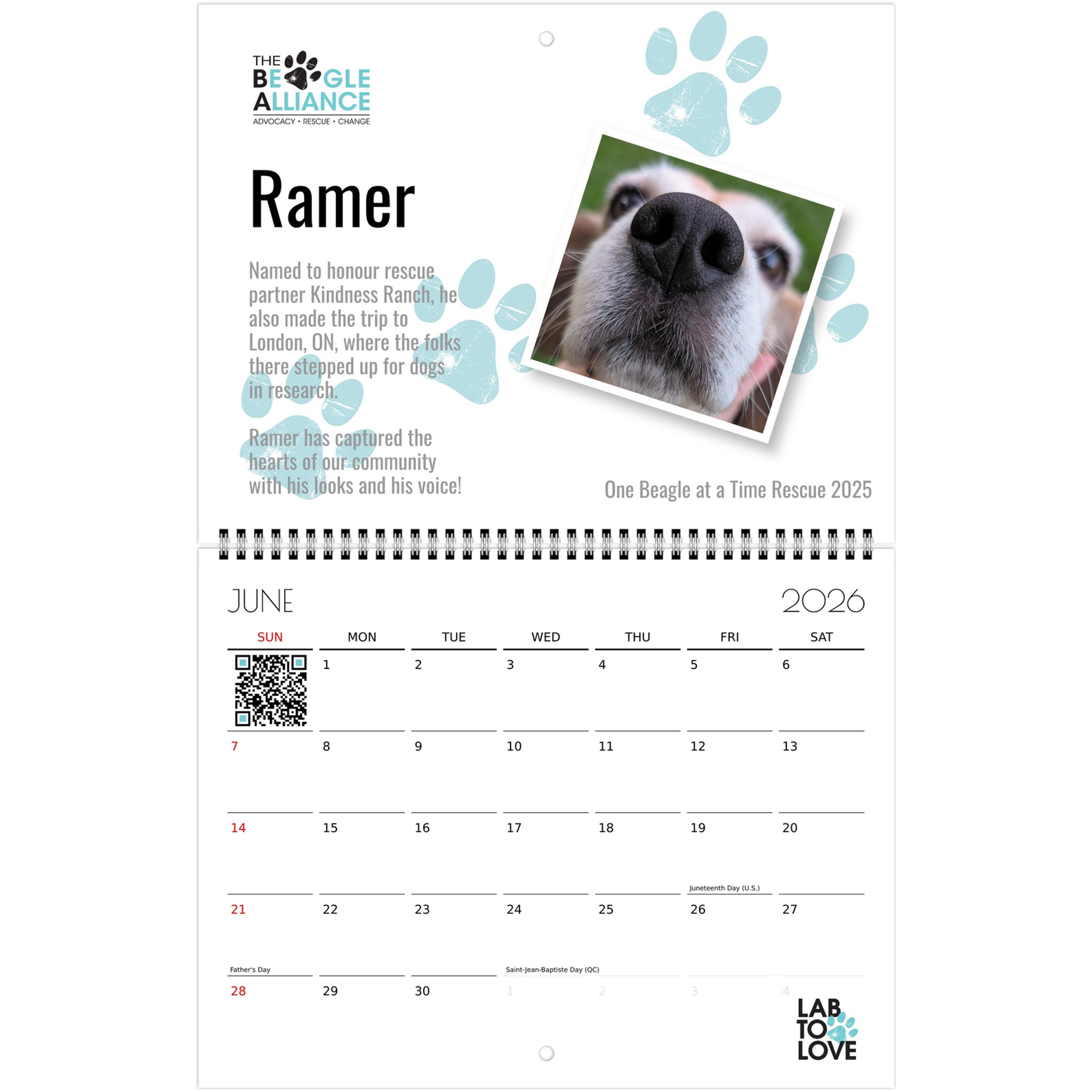 206ace81-bc34-471d-b607-075288bae17e