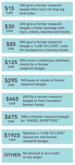 Donation Details Donation Details