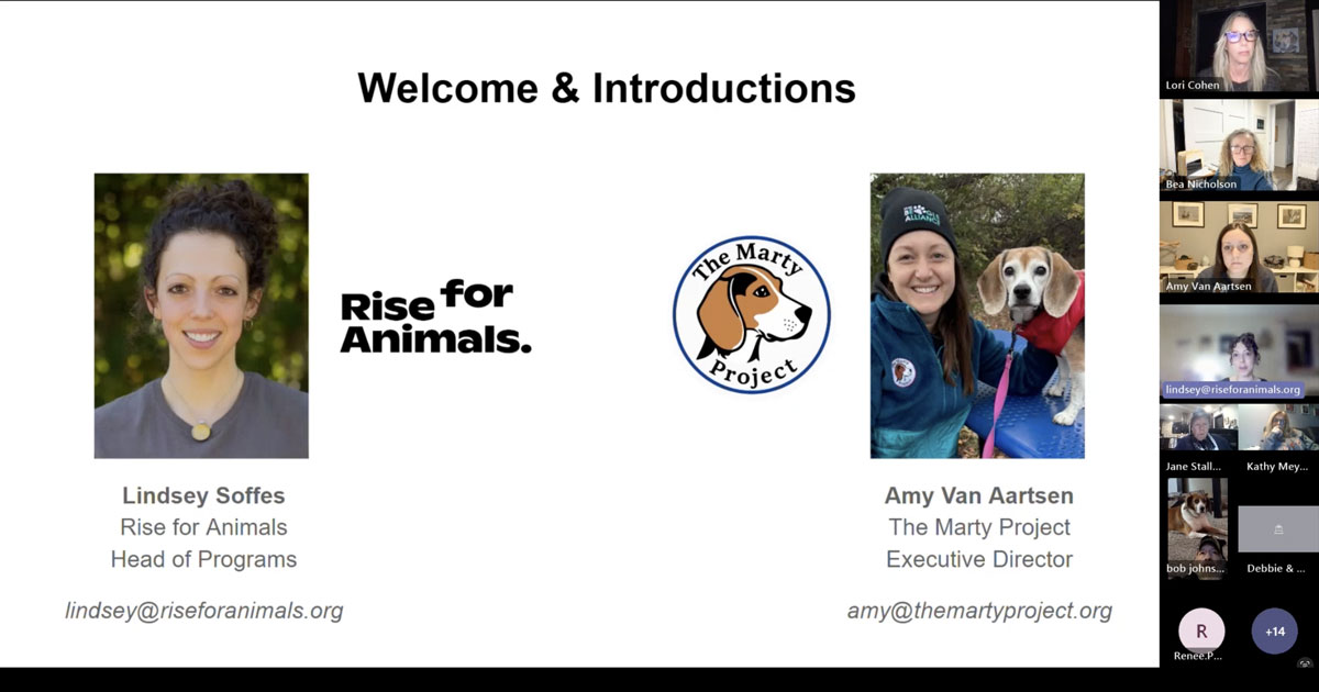 Nov. Town Hall – Ridglan Farms: A Path Towards Accountability and Change