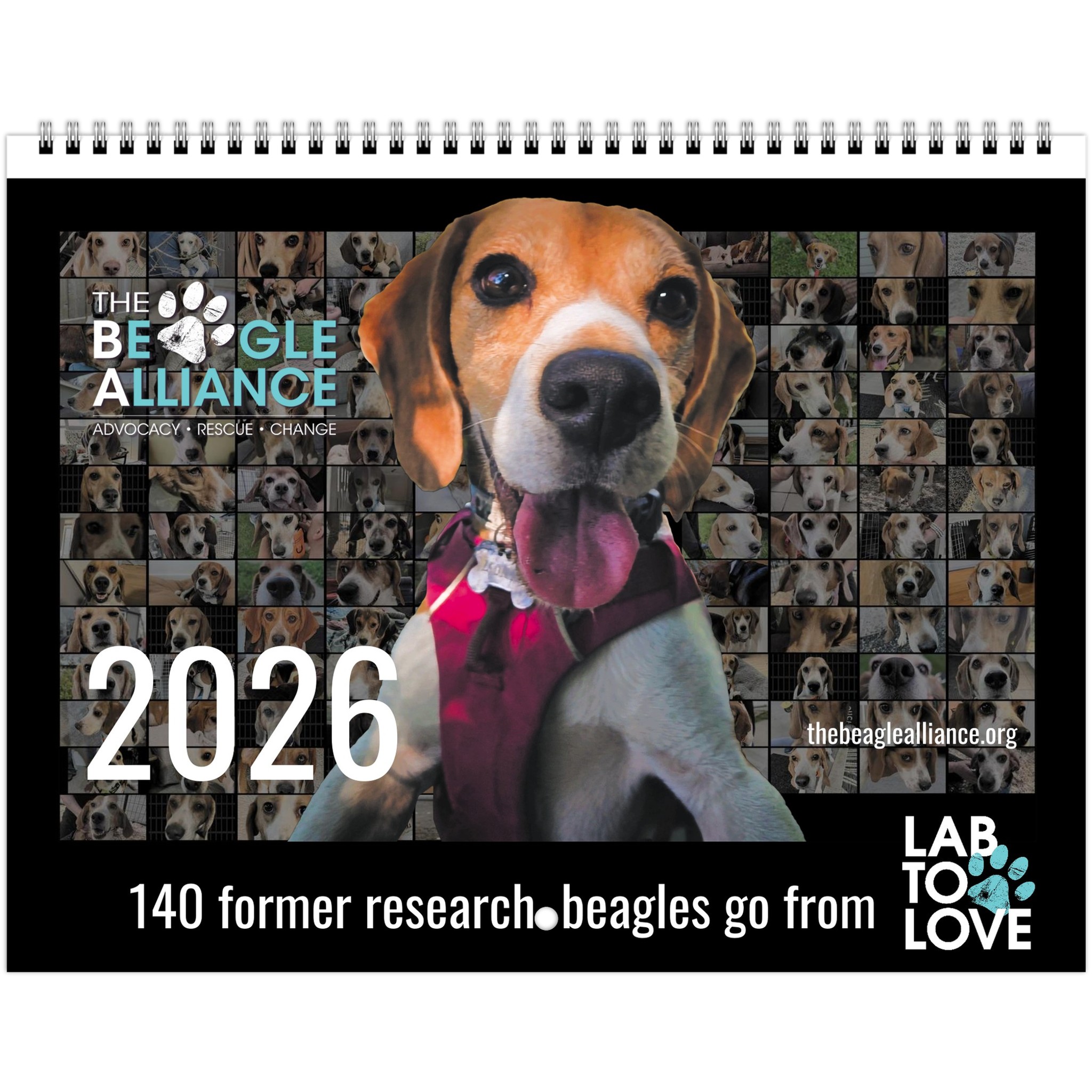 a4da7574-78f5-4362-8b99-1a7748cd0052