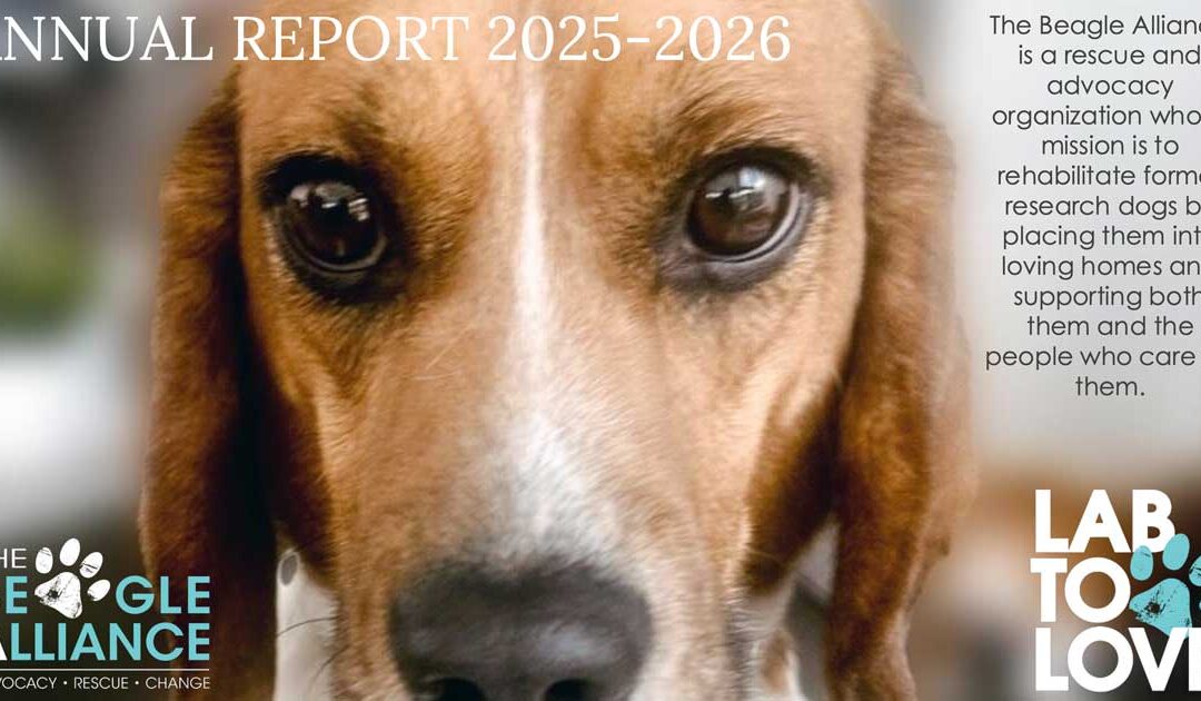 Annual General Meeting 2025