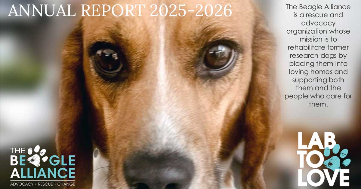 Annual General Meeting 2025