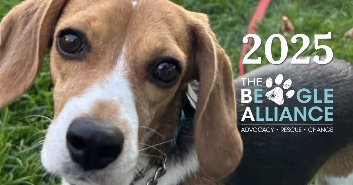 2025 – A Year in Review